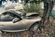 Broken Car After an Accident against a Tree