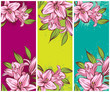 Lily on grunge background