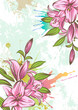 Stylized lily on a grunge background