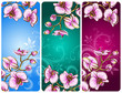 Orchid flower