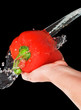 red pepper in a female hand with a spray of water