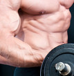 Athletic sexy attractive male body builder