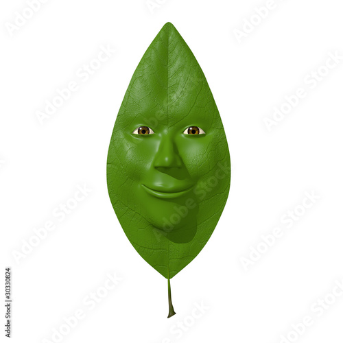 Leaf with face