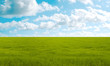 Meadow