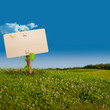 green sign - eco friendly communication