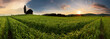 Sunset over farm field with lone tree and chapel Sunset over farm field with lone tree and chapel