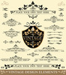 Vector Set of Vintage Design Elements Vector Set of Vintage Design Elements