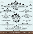 Vector Set of Vintage Design Elements