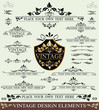 Vector Set of Vintage Design Elements