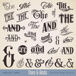 vector set: Thes and Ands - calligraphic design elements