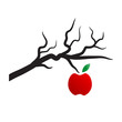 Logo apple on the tree # Vector
