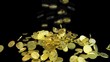 Gold Coins Fall