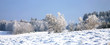 Sunny, winter day