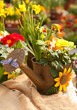 Gießkanne mit Blumen