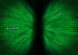 Two walls of binary code