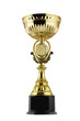 Large gold trophy