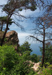 Forest on mountains hill, Aya cape, Crimea