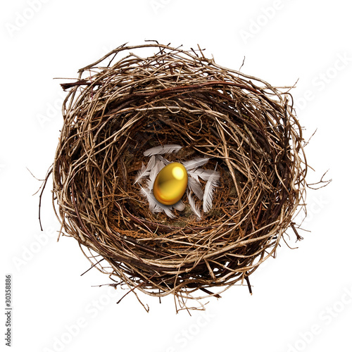 Photo: golden nest egg golden nest egg