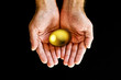 Holding golden egg