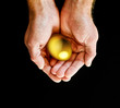 Gold egg in hands