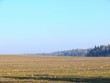 Stubble field. Sky.