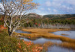 Seal Cove Pond Acadia National Park Maine