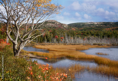 Photo: Seal Cove Pond Acadia National Park Maine Seal Cove Pond Acadia National Park Maine