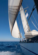 Sailing boat in the sea Sailing boat in the sea