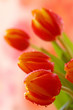 Alles Liebe zum Muttertag!