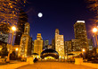 The Millennium Park in downtown Chicago