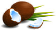 Coconuts