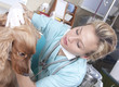 Photo : Young female vet examining the dog Young female vet examining the dog