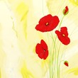 Papaveri sul beige - Poppies on beige