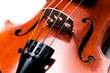 Violon