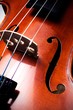 Violon