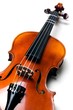 Violon