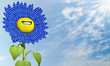 Sonnenenergie