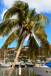 Tortola-Harbor view at Road town- Tortola-Harbor view at Road town-
