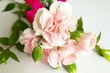 カーネーションの花束
