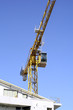 Grue