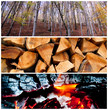 collage bosco legna fuoco