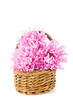 flower-basket
