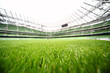 green-cut grass in large stadium at summer day