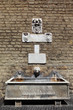 fountain in Vatican wall, thin jet of water, lion's head fountain in Vatican wall, thin jet of water, lion's head