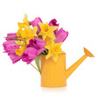 Spring Flower Beauty