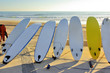 Seven Surfboards