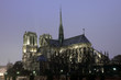 Notre Dame cathedral in Paris at night