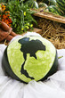 carves melon carves melon
