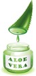 Aloe Vera Foglia e Succo-Aloe Leaf and Juice-Vector Aloe Vera Foglia e Succo-Aloe Leaf and Juice-Vector