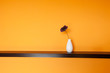 Flower in vase near wall